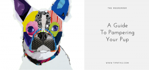 The Weekender - A Guide to Pampering Your Pup | Amman