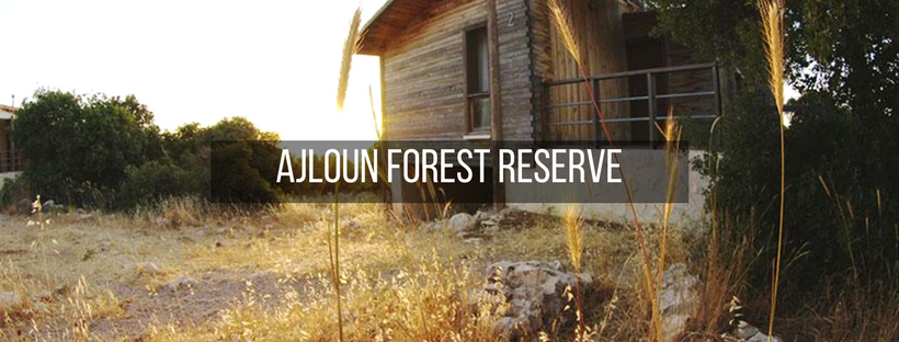 Ajloun Forest Reserve