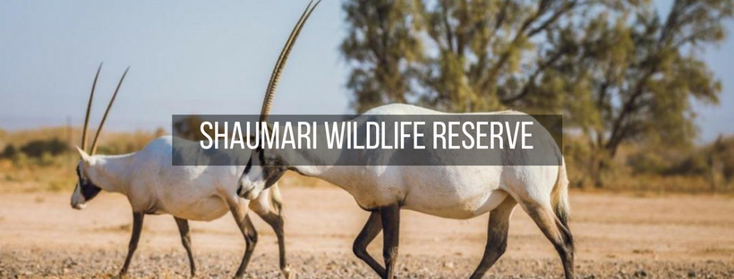 Shaumari Wildlife Reserve