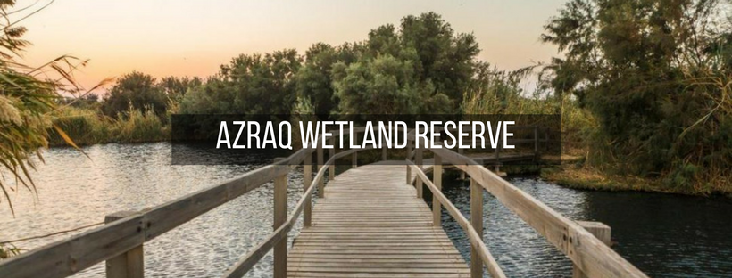 Azraq Wetland Reserve