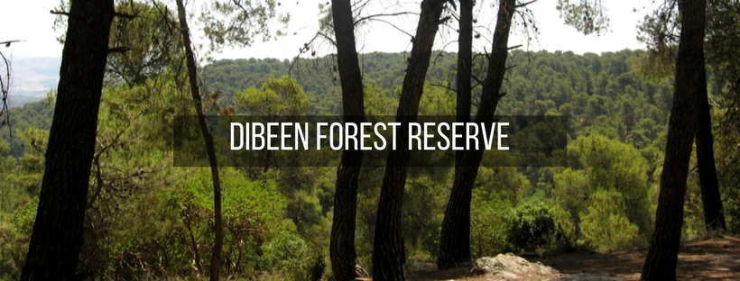 Dibeen Forest Reserve