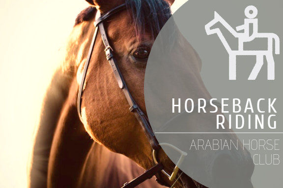 Horseback Riding @ Arabian Horse Club