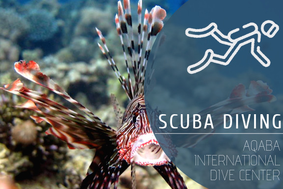 Scuba Diving @ Aqaba International Dive Center
