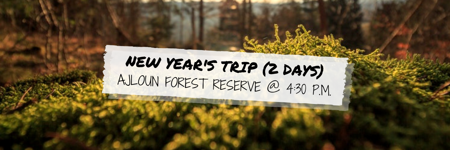 New Year's Trip (Two Days) @ Ajloun Forest Reserve