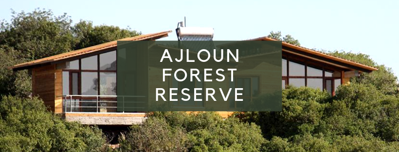 Ajloun Forest Reserve