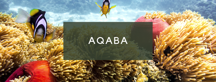 Aqaba, Red Sea