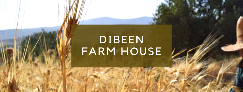 Dibeen Eco Farm House