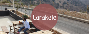 Carakale