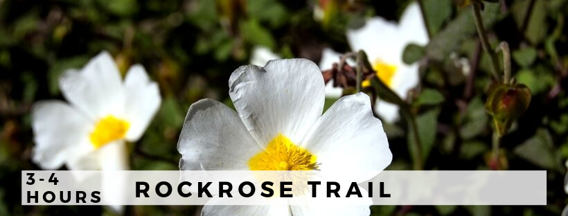 Rockrose Trail Ajloun Forest Reserve
