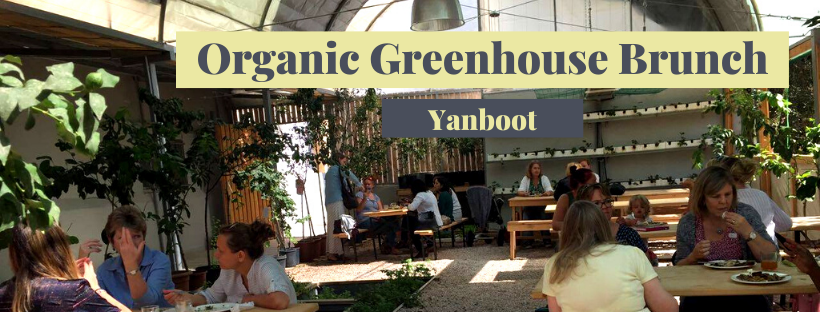 Organic Greenhouse Brunch - Yanboot