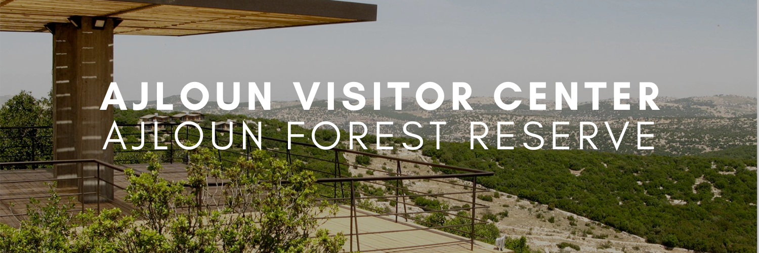 Visit Ajloun Forest Reserve - the Northern Gem of Jordan