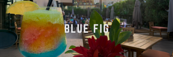 Blue Fig