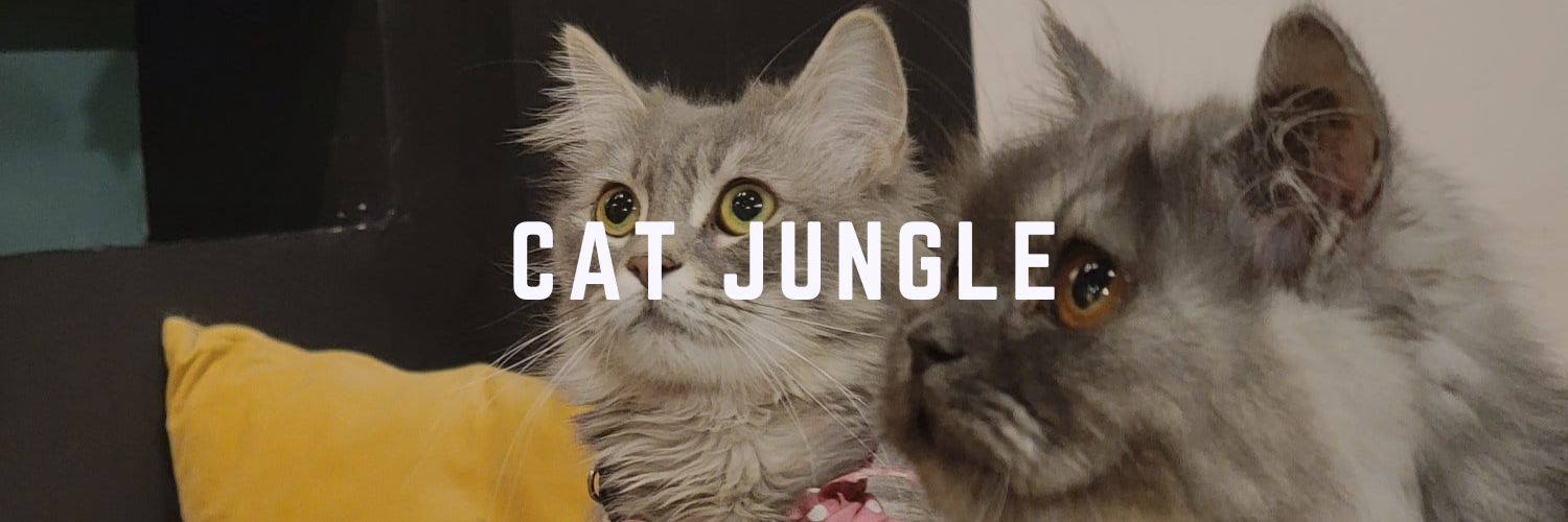 Cat Jungle