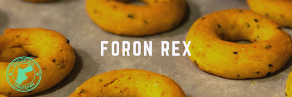 Foron rex