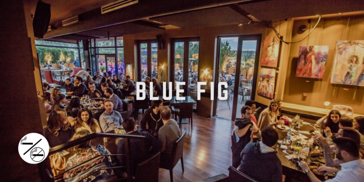 Blue Fig