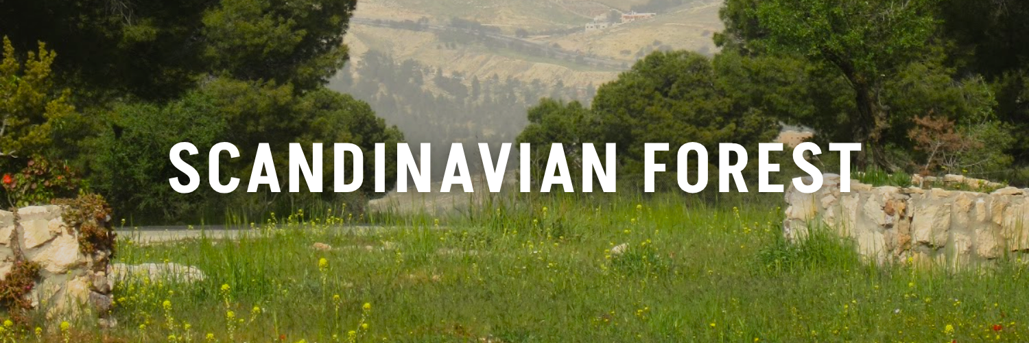 Scandinavian-Forest-The-Picnic-Guide-Jordan