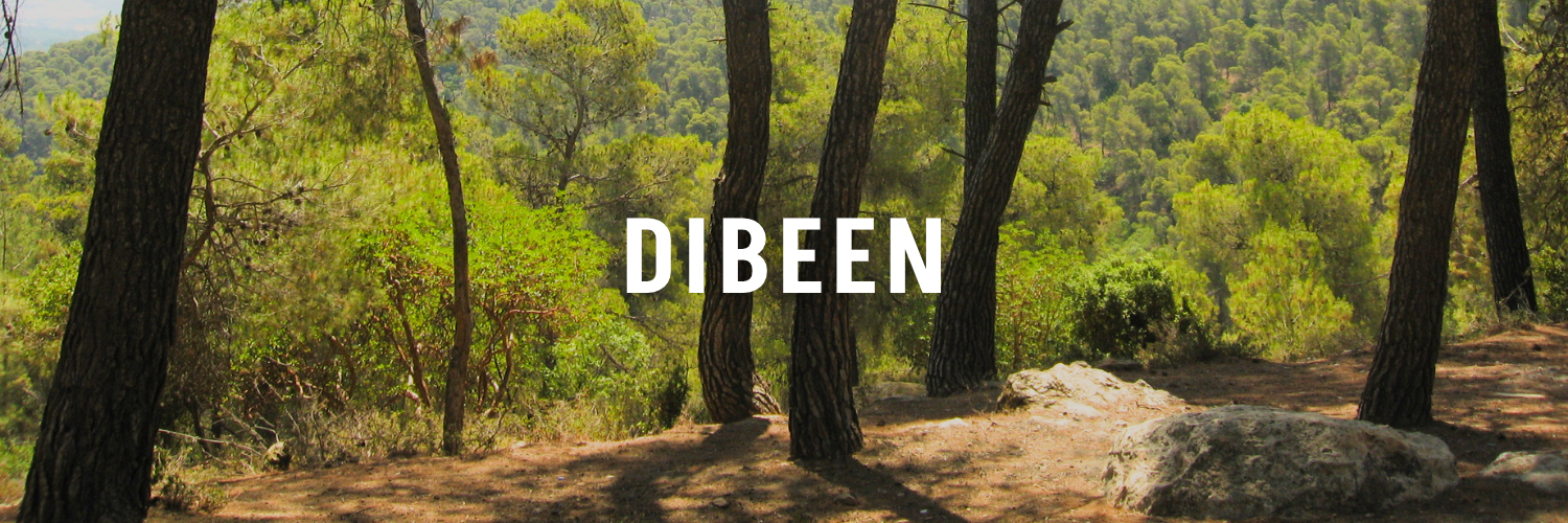 Dibeen-The-Picnic-Guide-Jordan