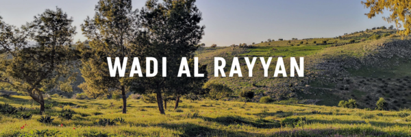 Wadi-Al-Rayyan-The-Picnic-Guide-Jordan