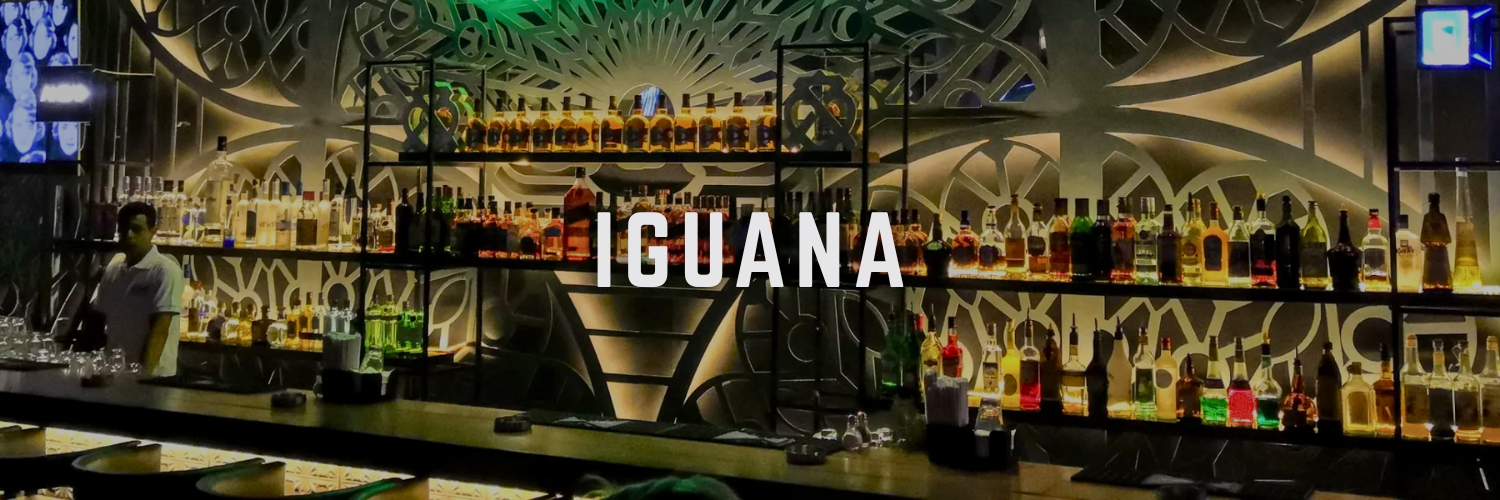 iguana top rooftops and terraces