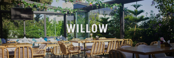 willow summer sunset spots