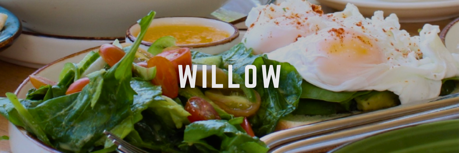 Willow Breakfast Spots 
