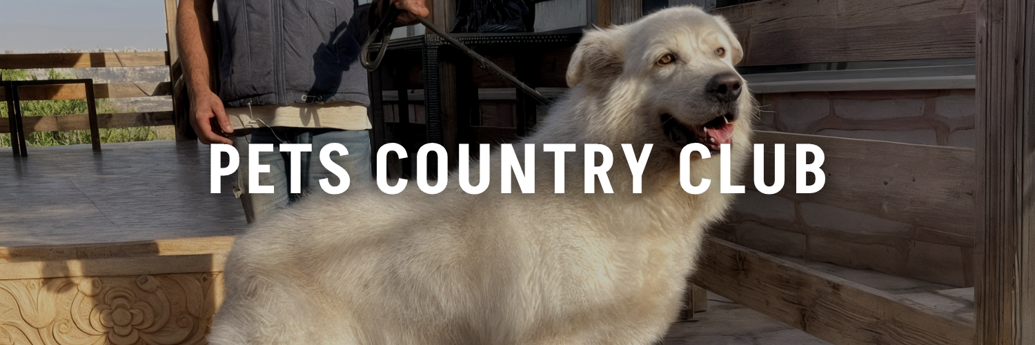 Pets-Country-Club-Pet-Friendly-Places-Amman