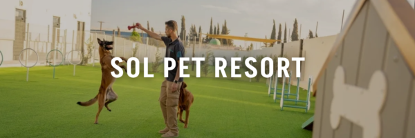 Sol-Pet-Resort-Pet-Friendly-Places-Amman