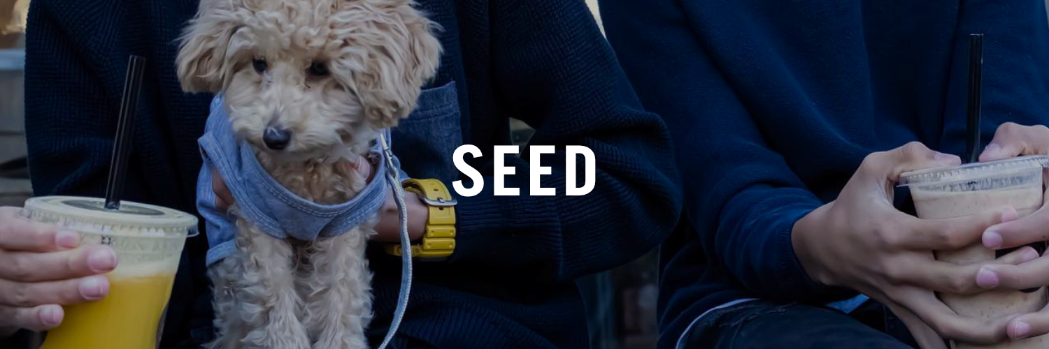 Seed-Pet-Friendly-Places-Amman