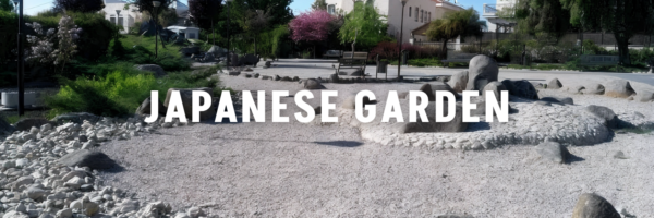 japanese garden