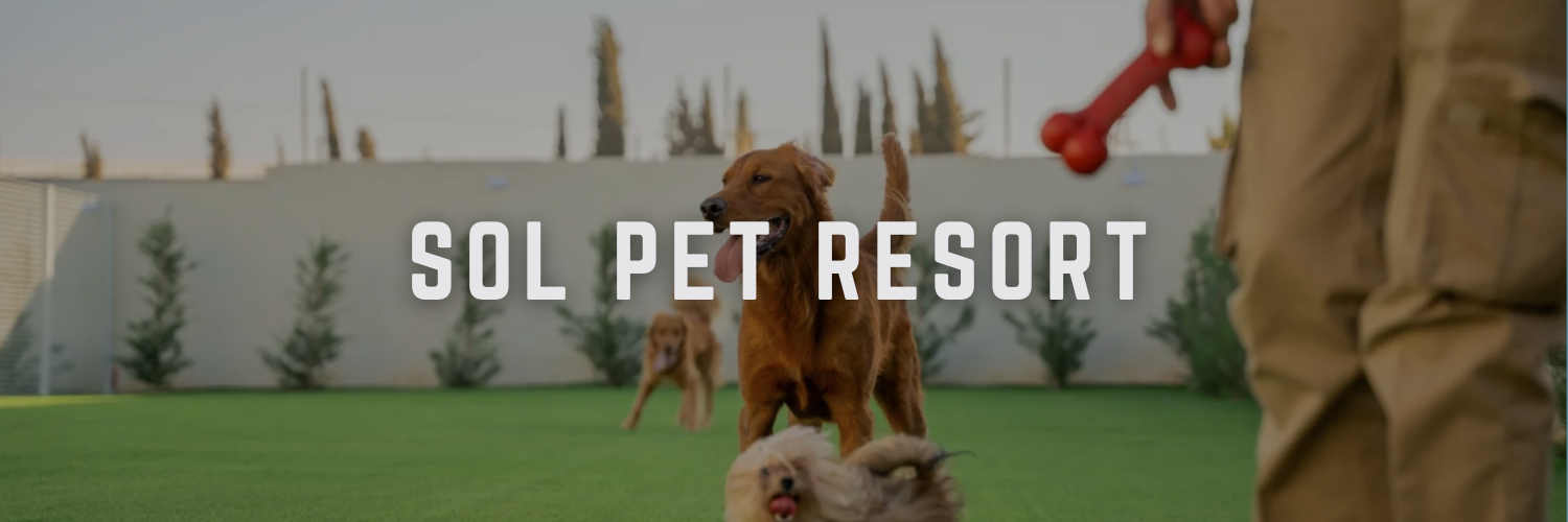 sol pet resort pet friendly places