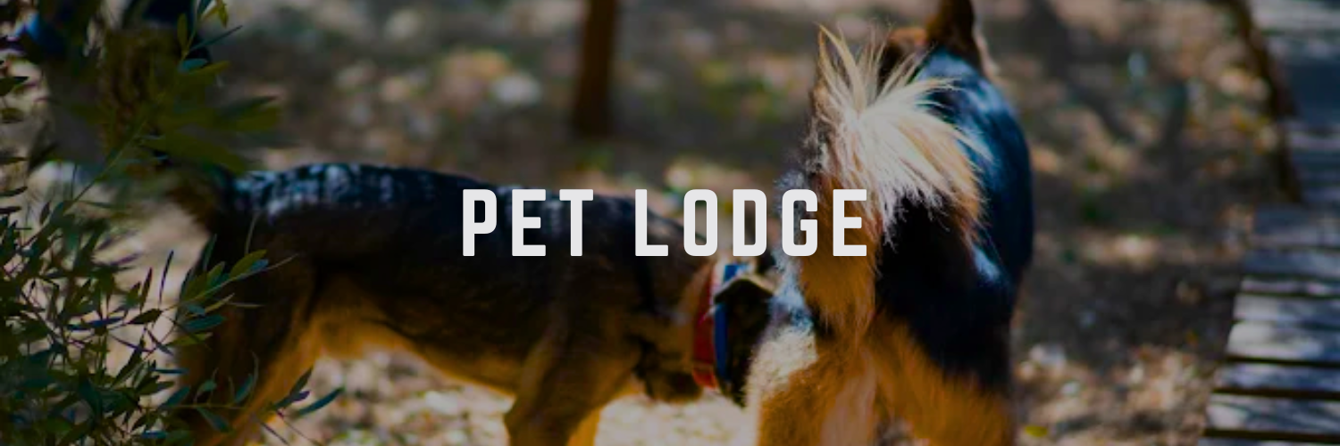 pet lodge pet friendly places