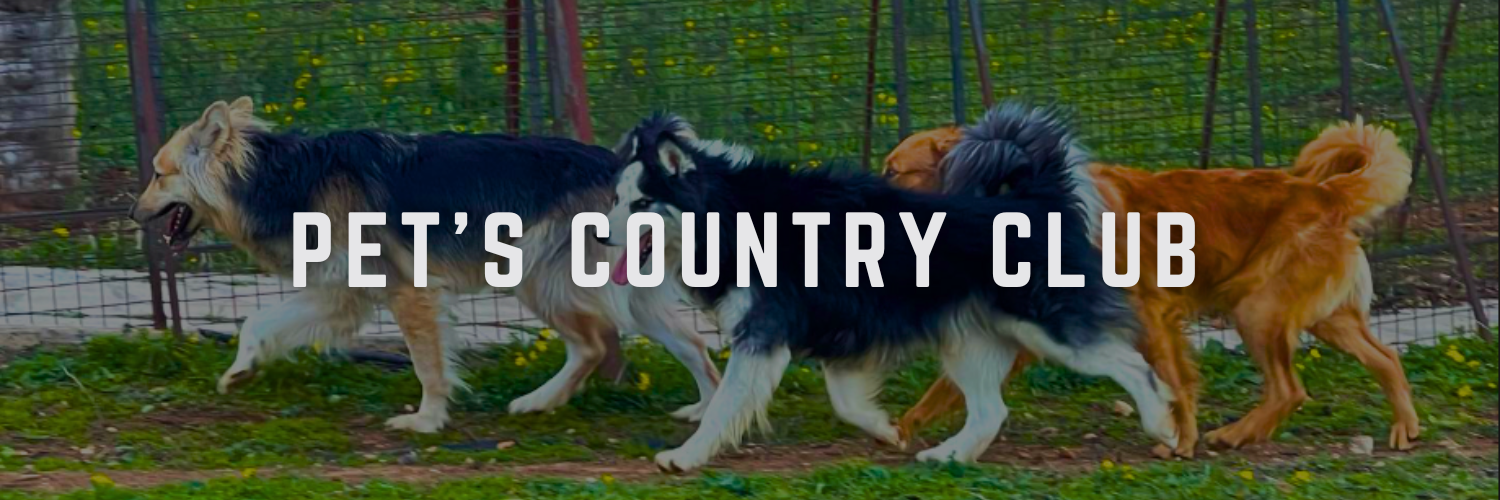 pets country club pet friendly places