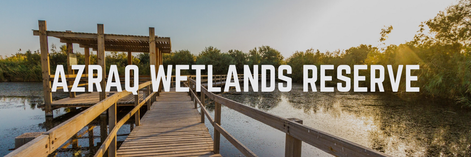 Azraq Wetlands Reserve – Azraq
