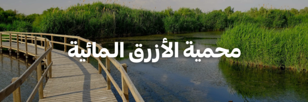 محمية الأزرق الـمائية