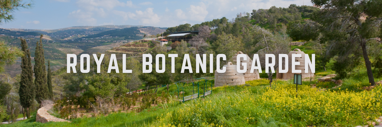 Royal Botanic Garden – Tal Al Rumman
