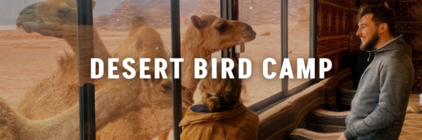 Desert-Bird-Camp-wadi-rum-camps