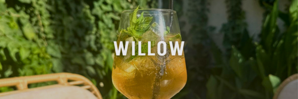 willow best summer drinks