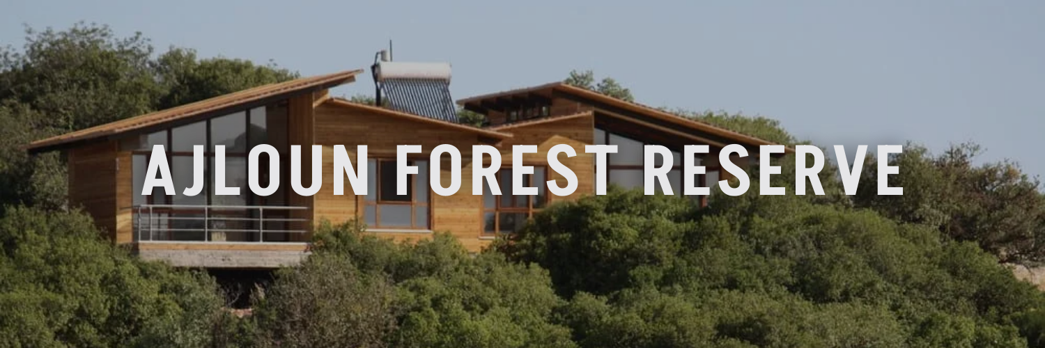 ajloun forest reserve romantic staycations