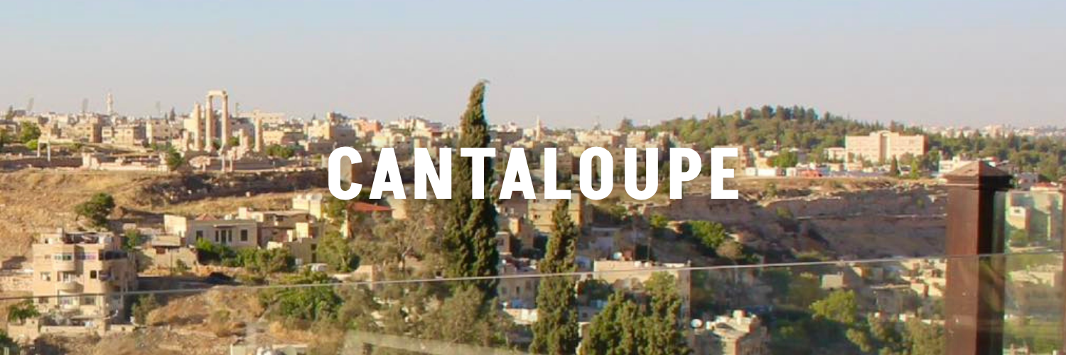 Cantaloupe