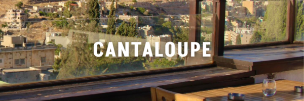 Cantaloupe