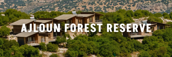 Ajloun Forest Reserve