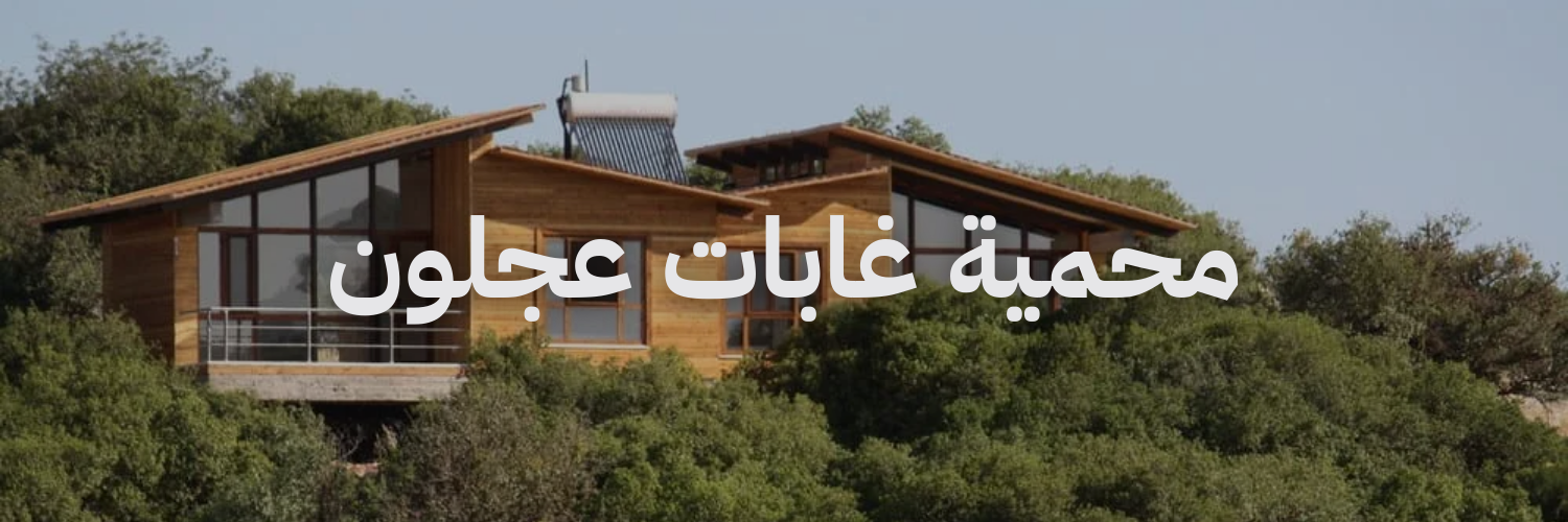 إقامات رومانسية في الأردن محمية غابات عجلون