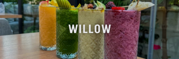 willow ice cream milkshakes and smoothies