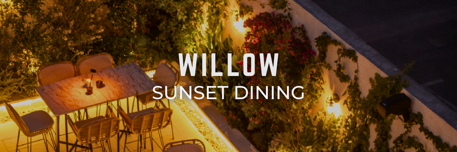willow end of summer bucket list 