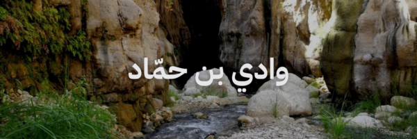 وادي بن حمّاد