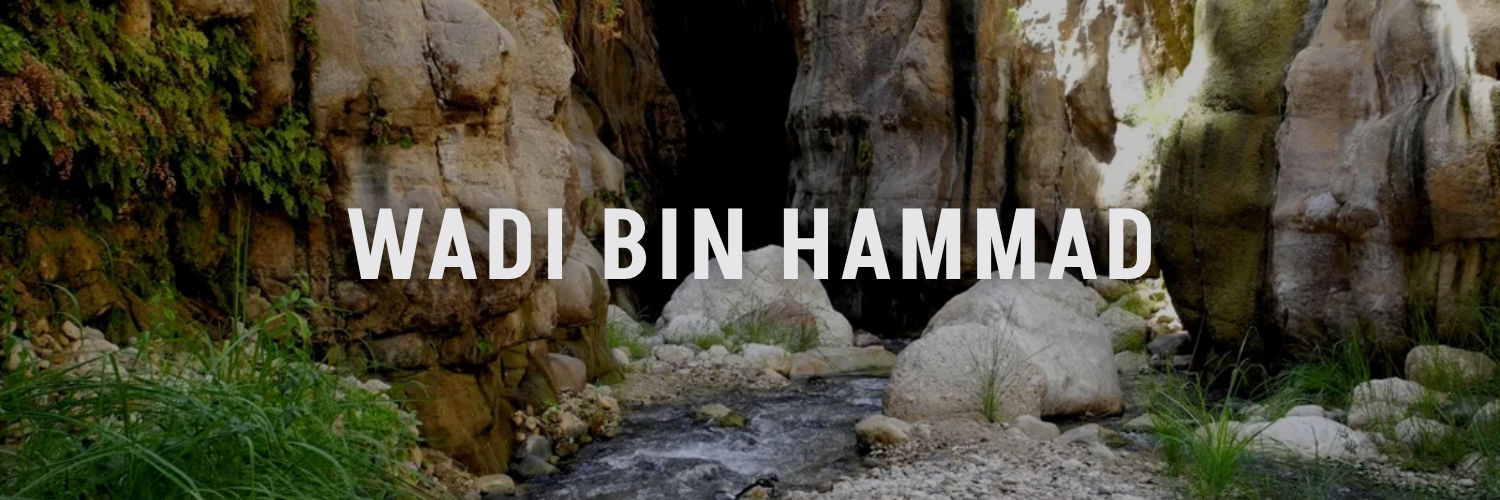 wadi bin hammad