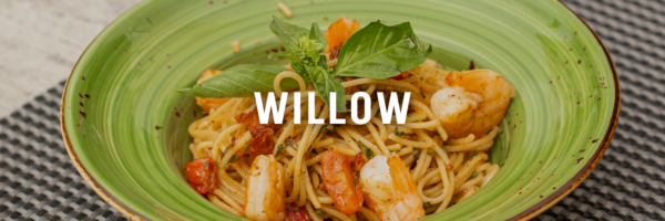 Willow Gluten-Free Finds