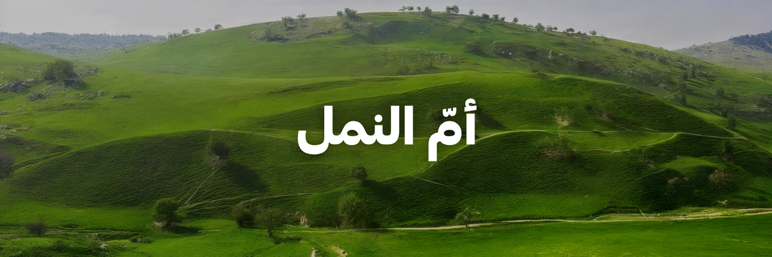 أمّ-النمل-لأردن