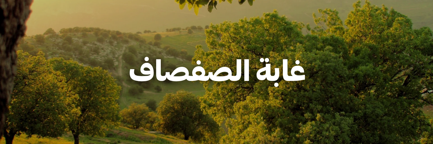 غابة-الصفصاف-لأردن