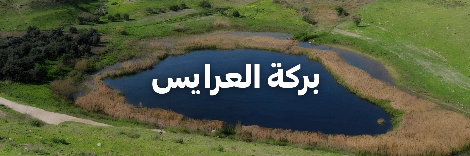 بركة-العرايسا-لأردن
